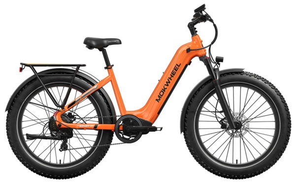 Electric Bikes